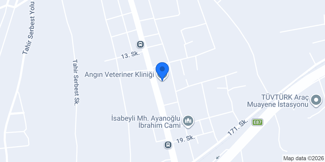 Angın Veteriner Kliniği konumu