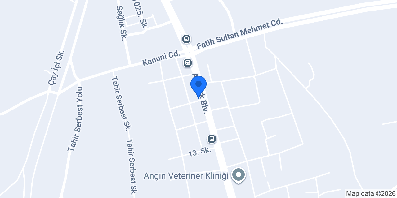 Dino Meze Ve Balık konumu