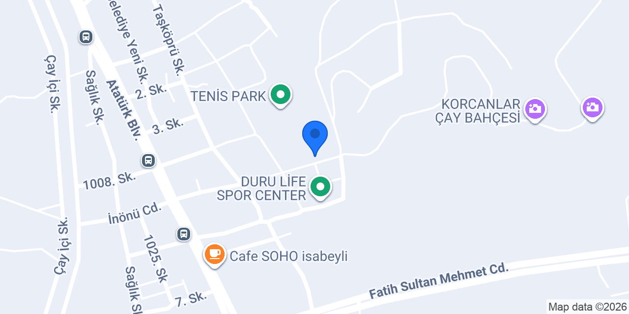 Nazilli Amerikan Kültür Koleji konumu