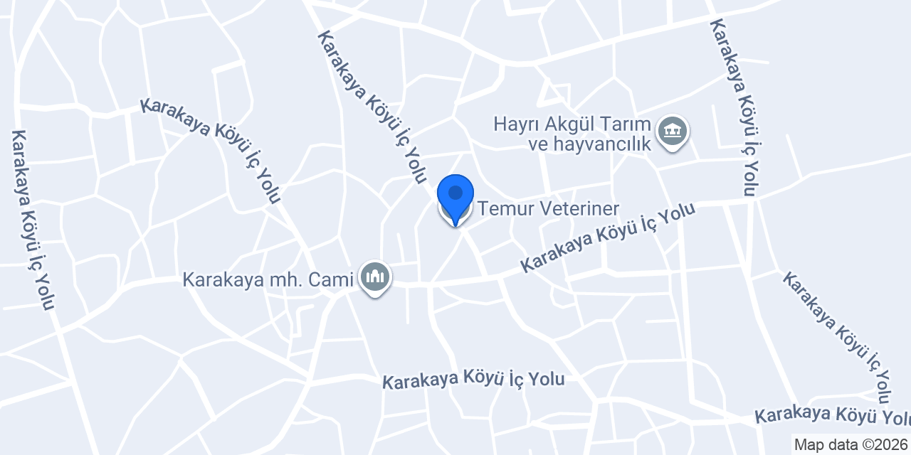 Efeoğlu Uluslararası Nakliyat konumu