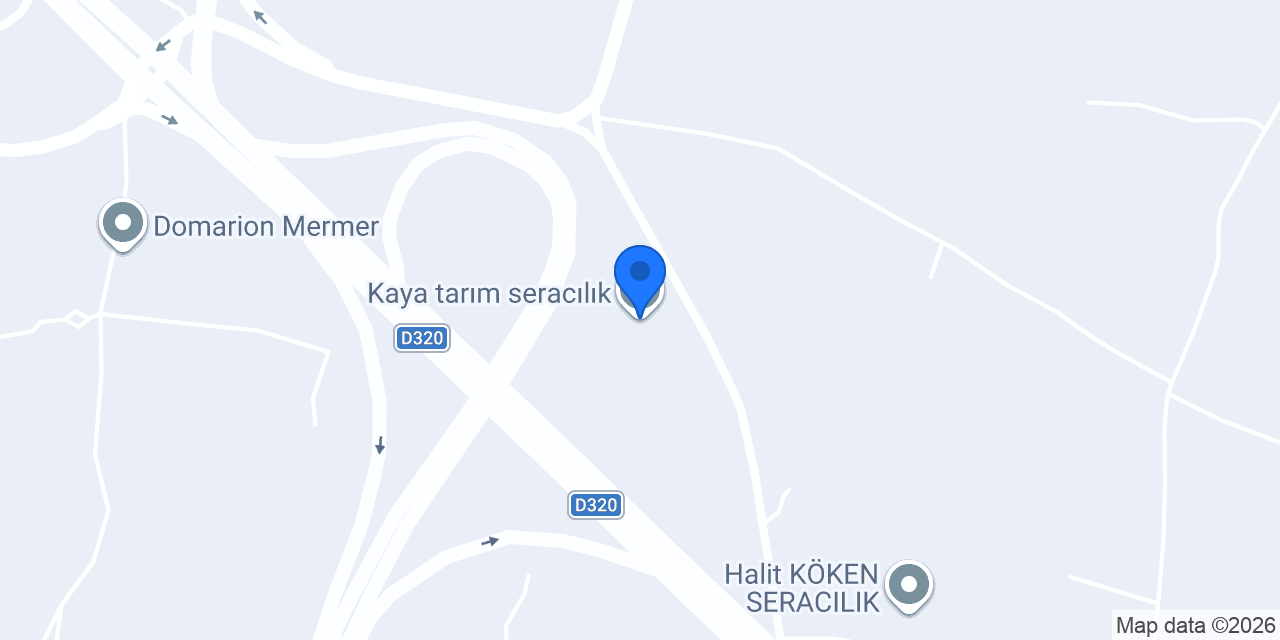 Kaya tarım seracılık konumu
