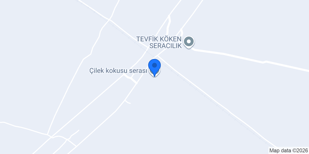 Çilek kokusu serası konumu
