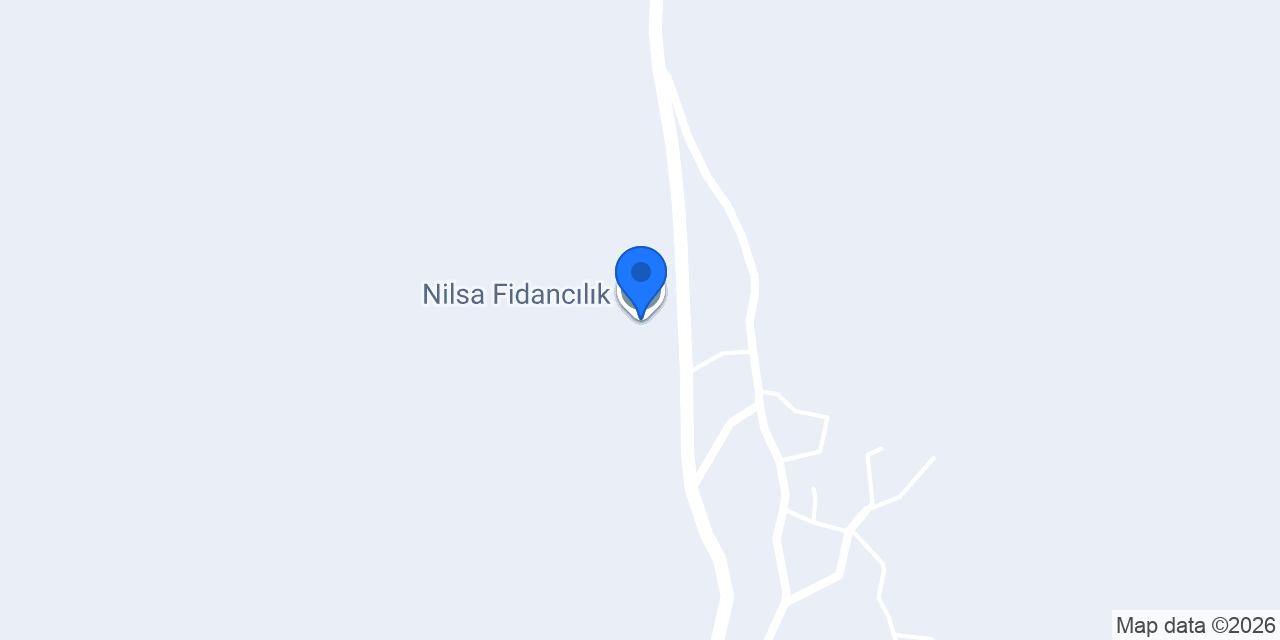Nilsa Fidancılık konumu