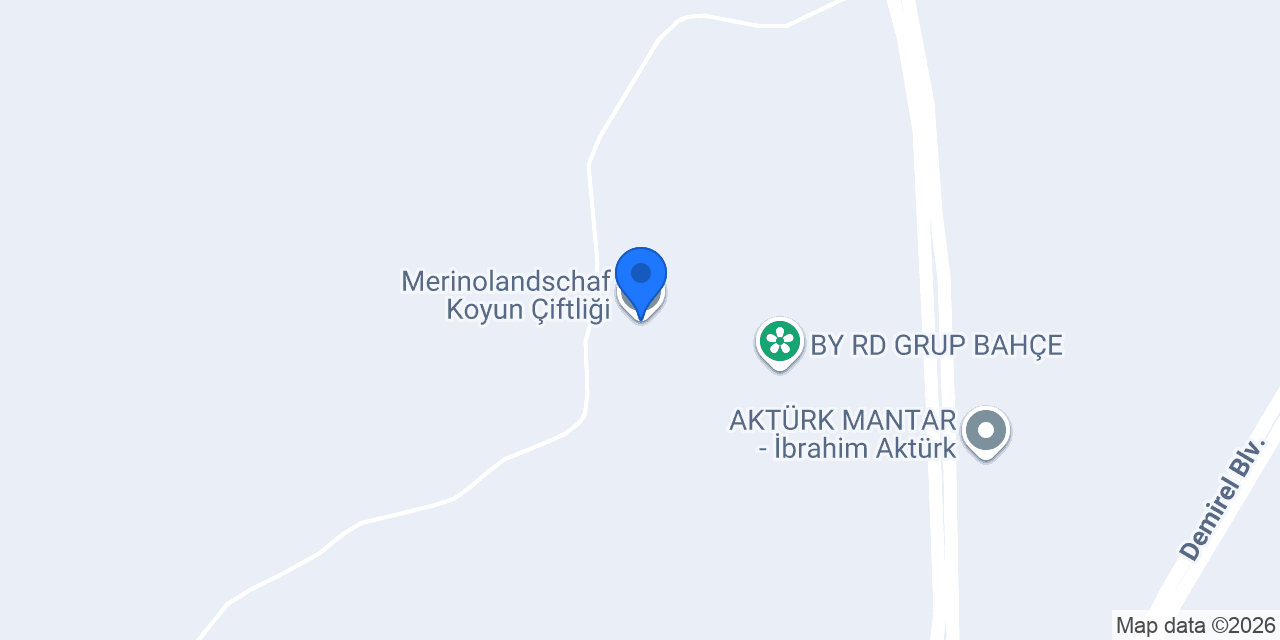 Merinolandschaf Koyun Çiftliği. konumu