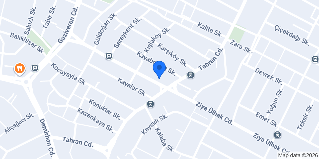 BOTANİK PETSHOP konumu