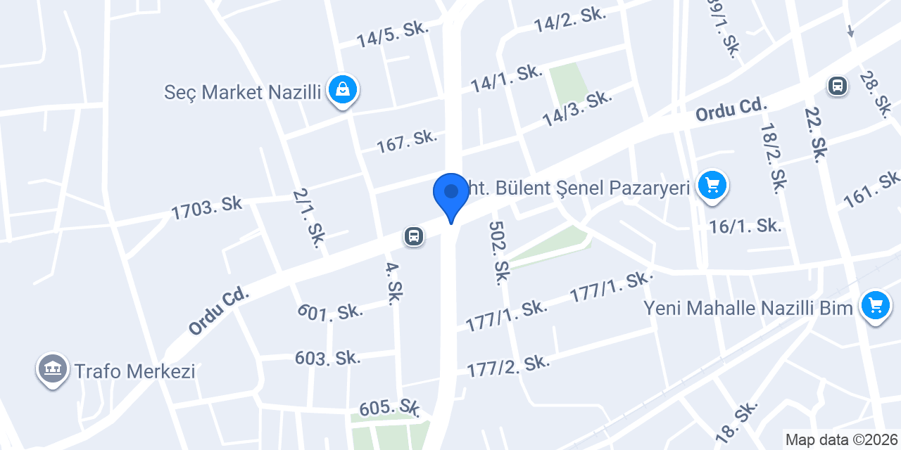 Disleksi, Okuma Yazma Özel Ders konumu