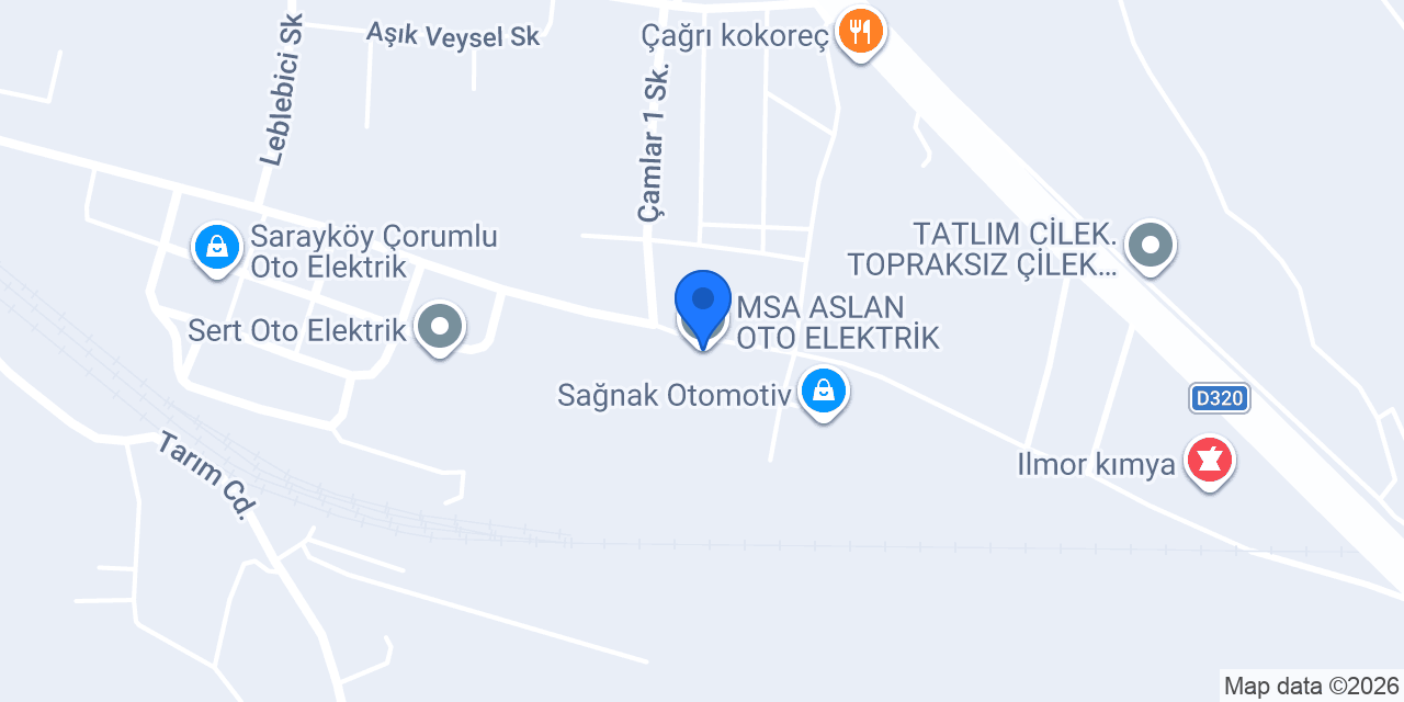 MSA ASLAN OTO ELEKTRİK konumu