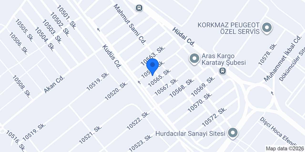 Aslan oto elektrik konumu
