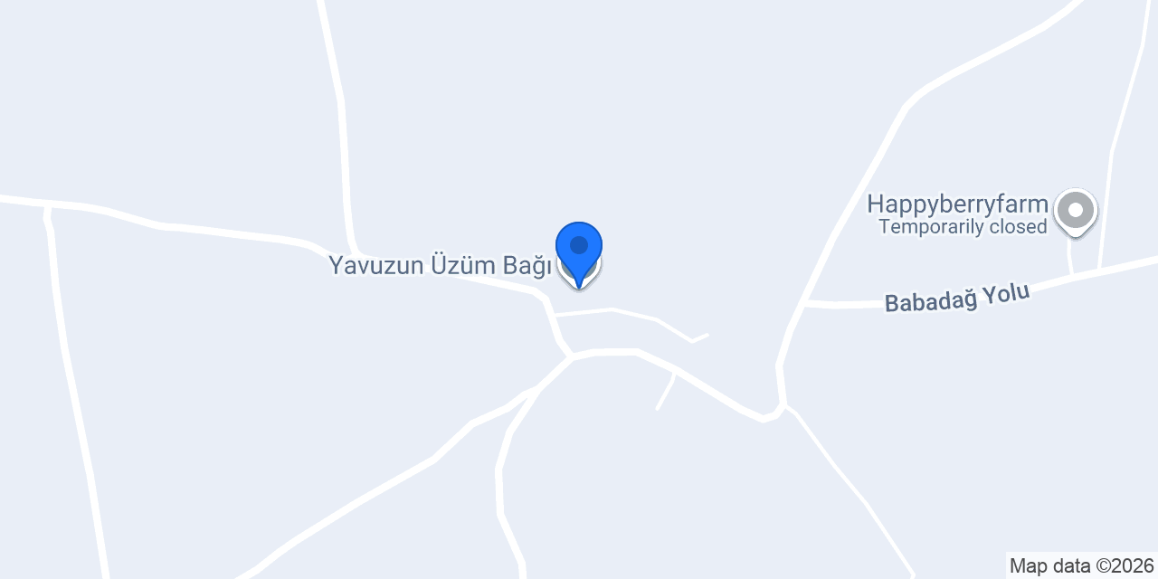Yavuzun Üzüm Bağı konumu