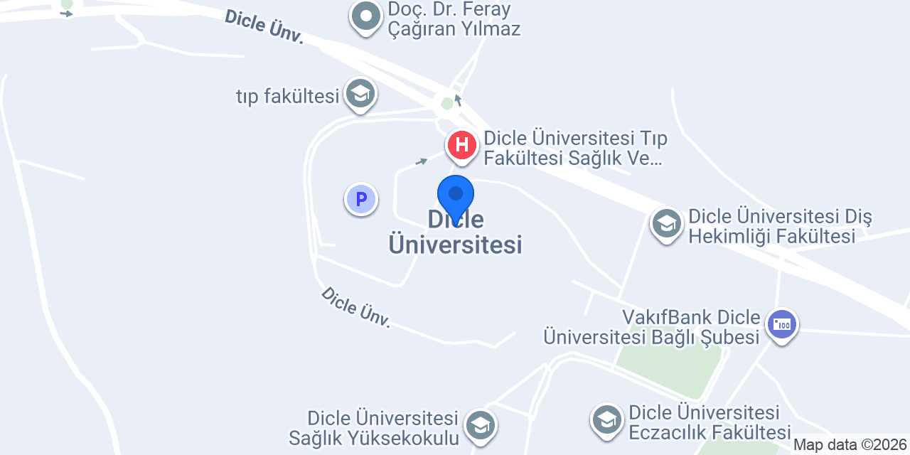 Dicle Üniversitesi konumu