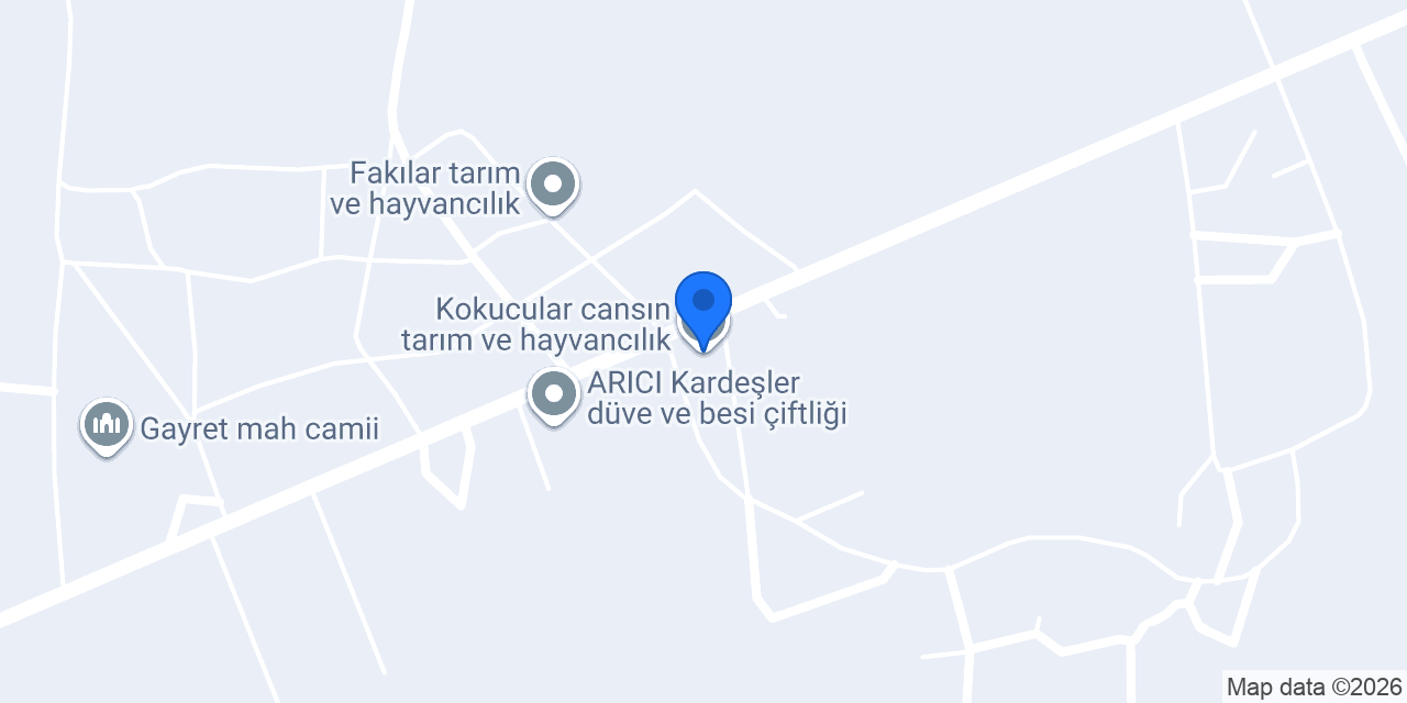 Kokucular cansın tarım ve hayvancılık konumu
