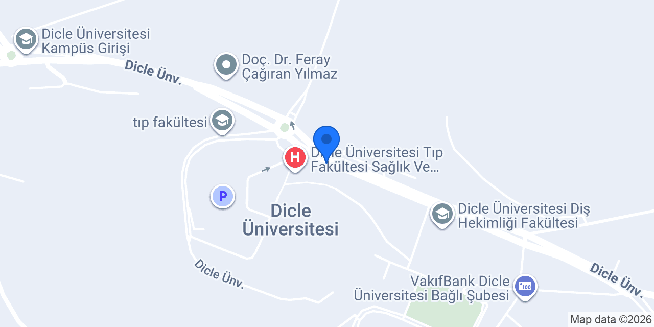 Dicle üniversitesi taksi konumu