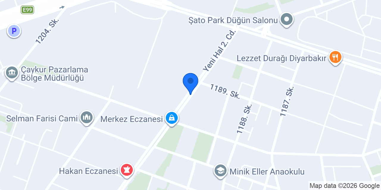 Güney elektirik konumu
