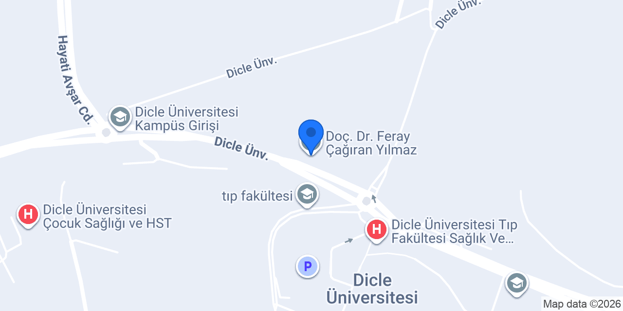 Doç. Dr. Feray Çağıran Yılmaz konumu