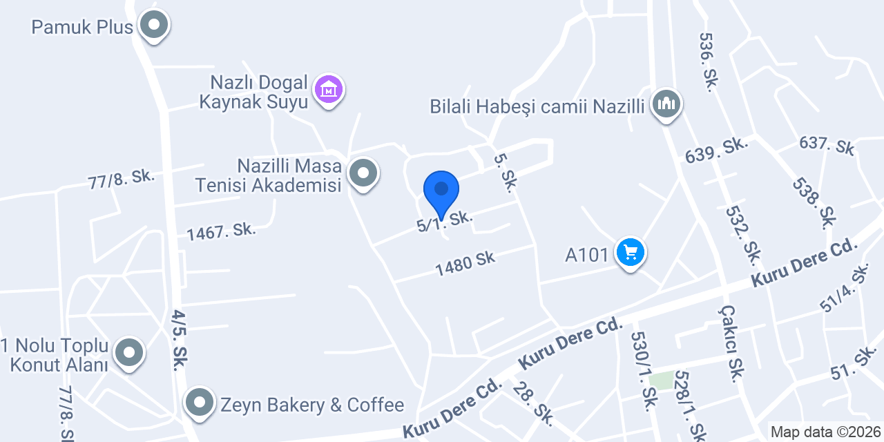 NAZİLLİ GÖL OTOMOTİV konumu