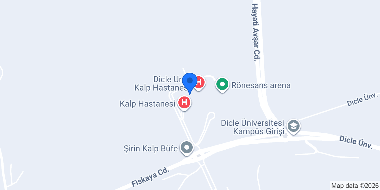 Doç. Dr. Müsemma Karabel konumu