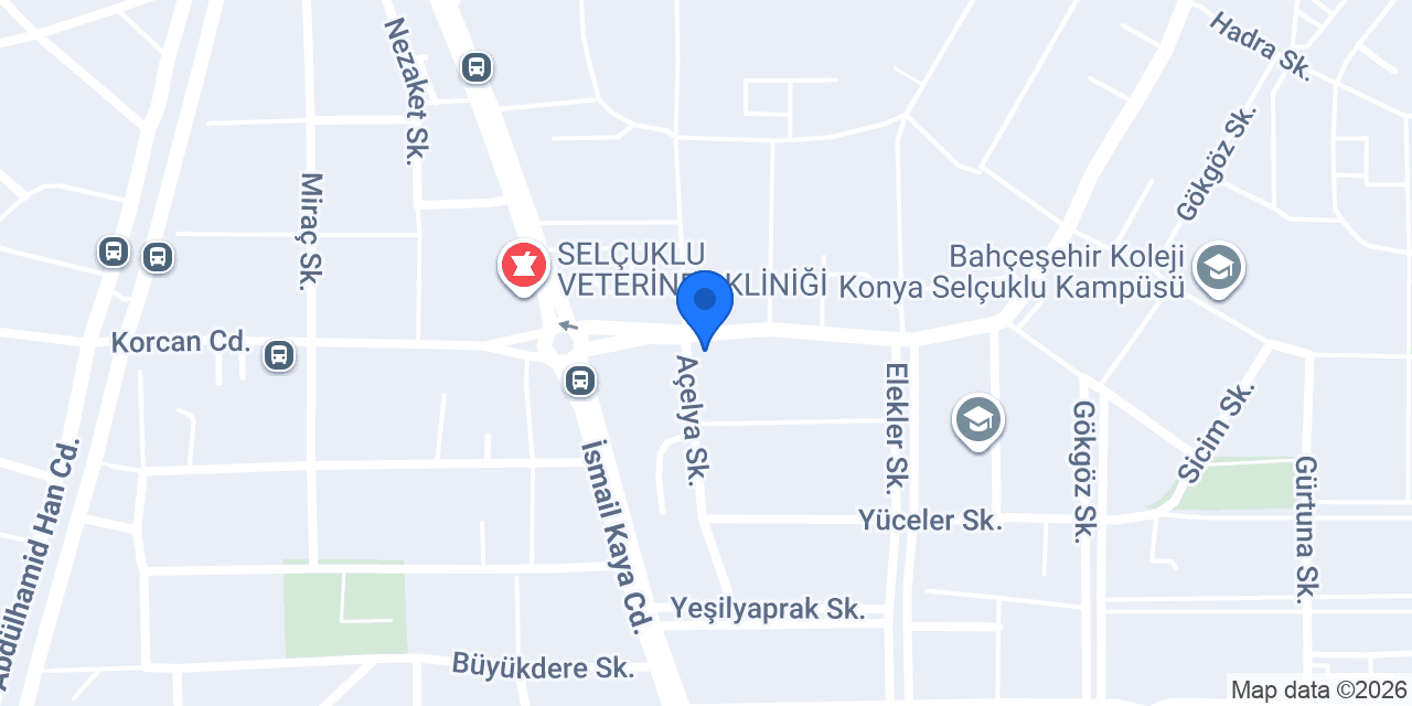 DMR RENT A CAR OTOMOTİV konumu