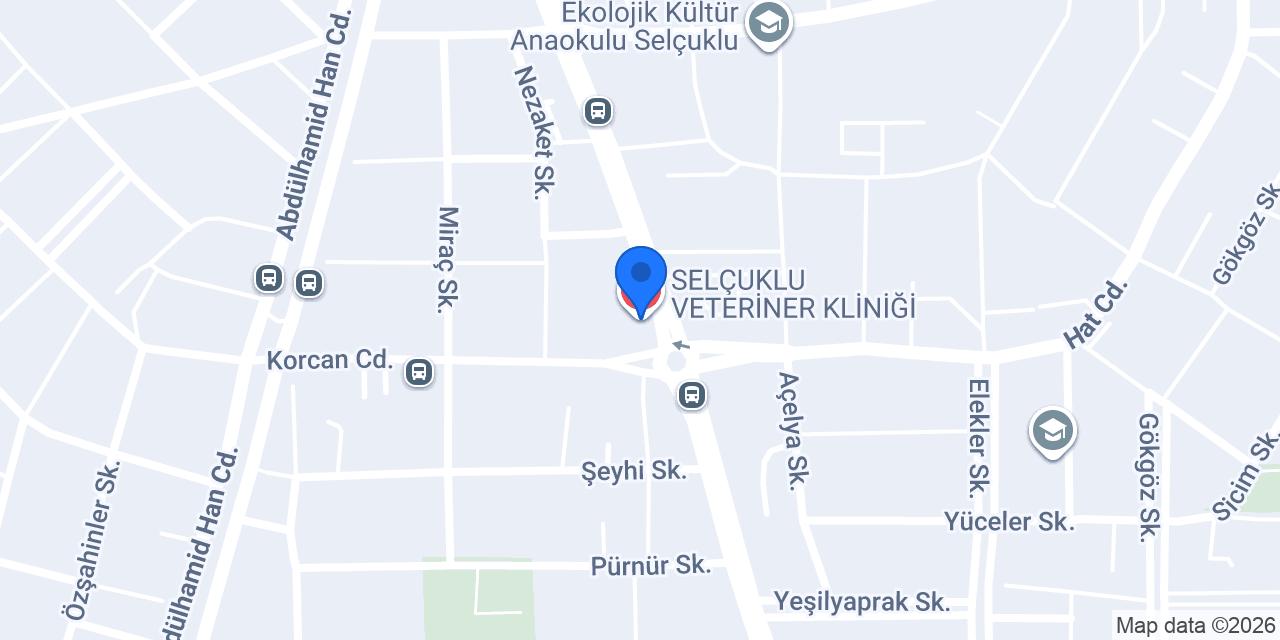 SELÇUKLU VETERİNER KLİNİĞİ konumu