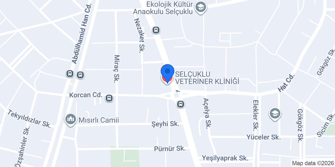 Kevneyn Tasarım konumu
