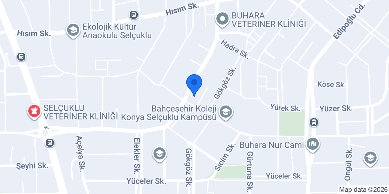 Sen Kitap konumu