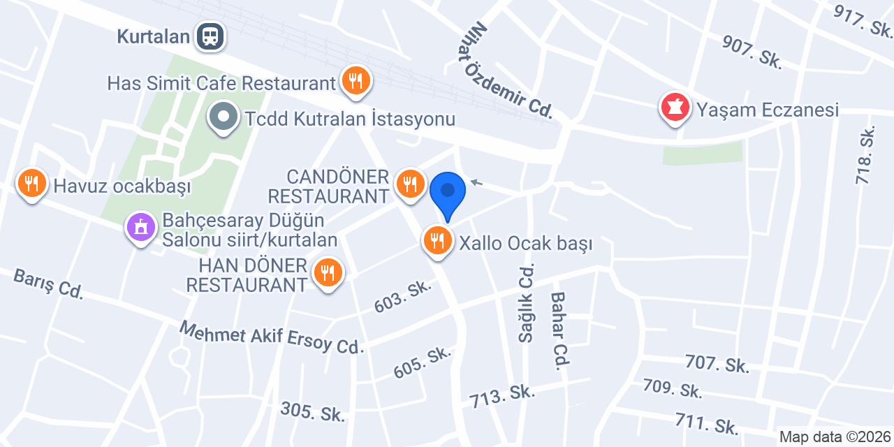 Mete Terzi Kurtalan siirt konumu