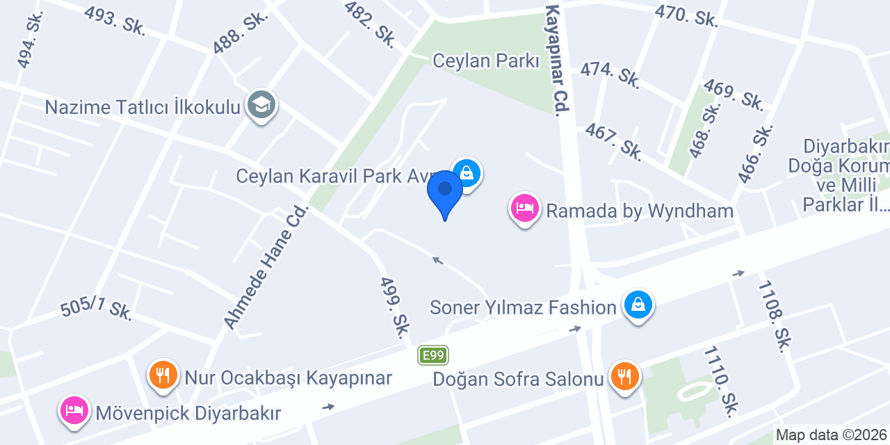 TERRA PİZZA DİYARBAKIR konumu