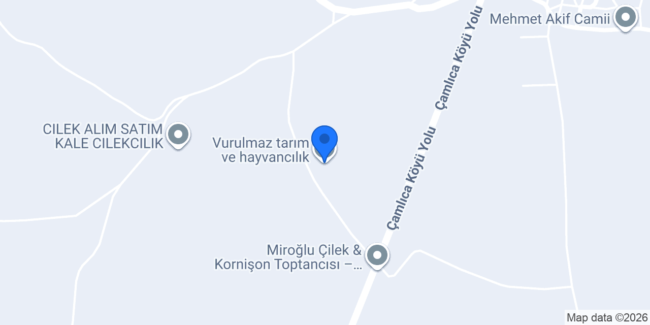 Vurulmaz tarım ve hayvancılık konumu