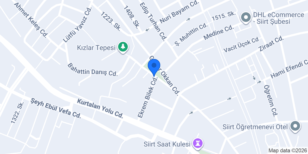 Siirt Balta Burger konumu