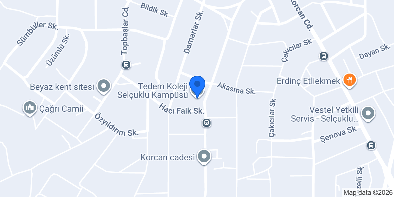 Tedem Koleji Selçuklu Kampüsü konumu