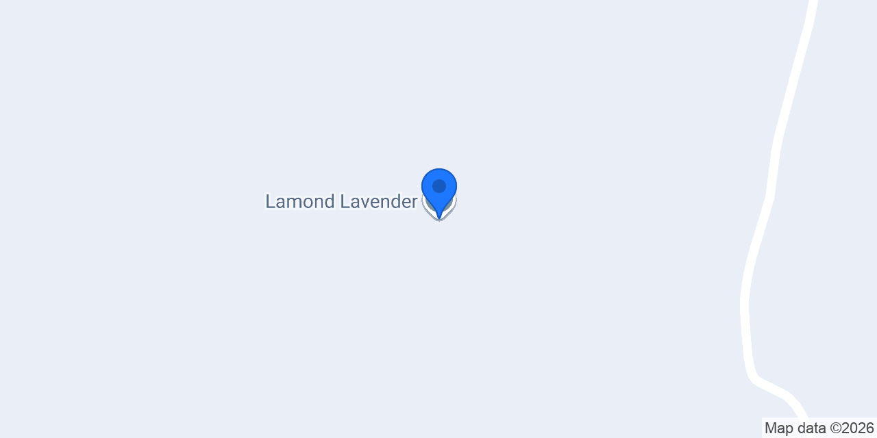 Lamond Lavender konumu