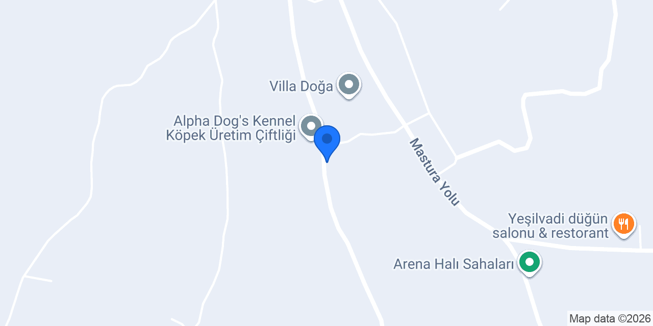 KILINÇ DOG HOUSE konumu