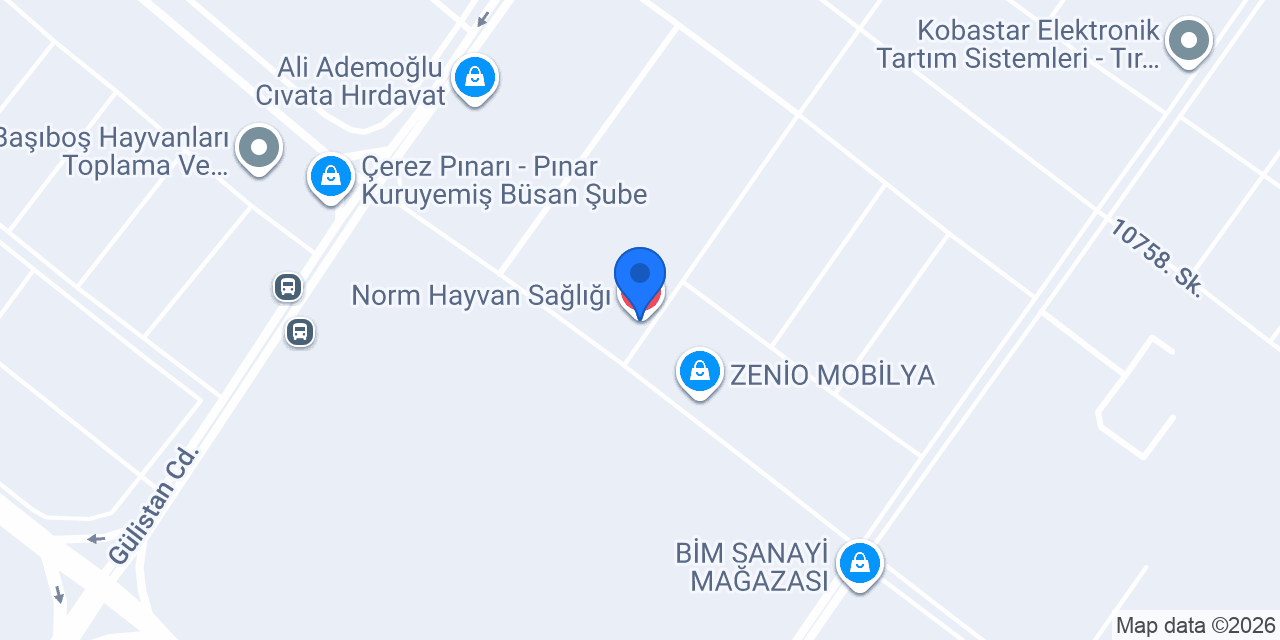 Norm Hayvan Sağlığı konumu