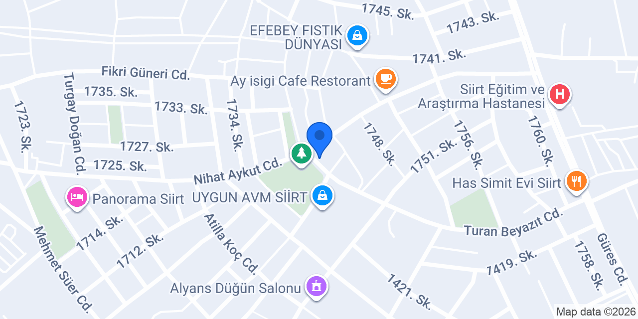 ŞEF PİZZA konumu