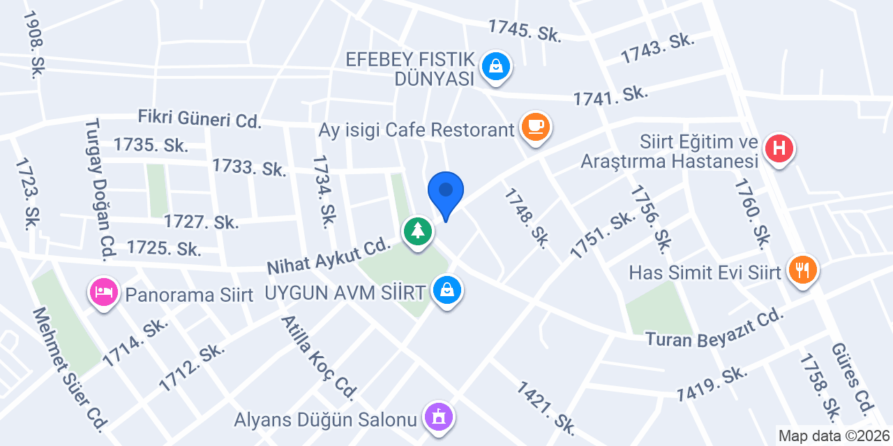 Pilavcı Ali Usta konumu