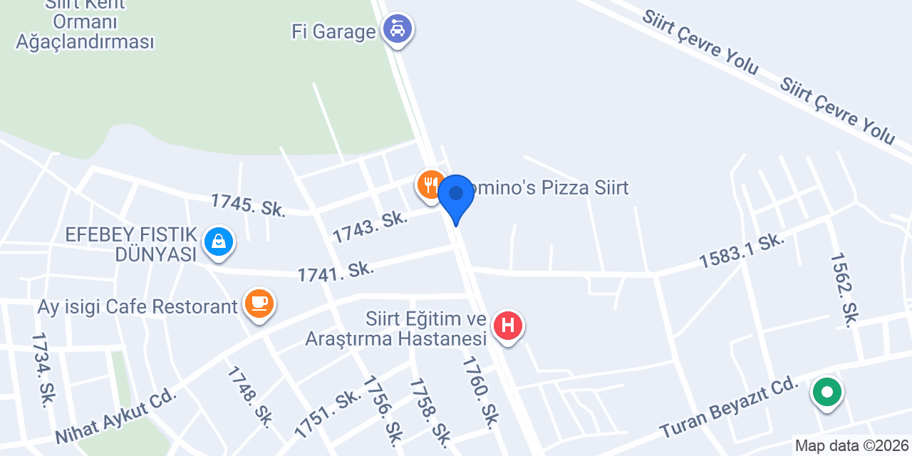 Siirt merkez konumu