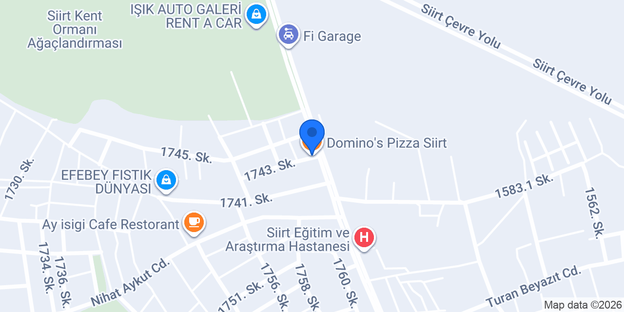 Domino's Pizza Siirt konumu