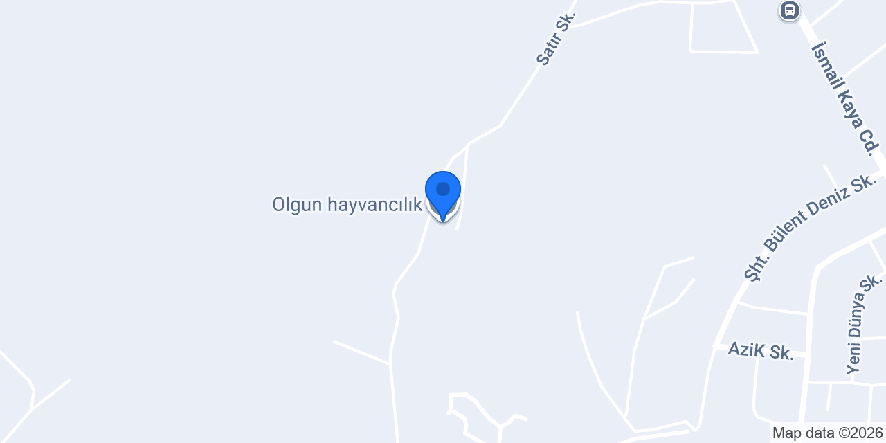 Olgun hayvancılık konumu