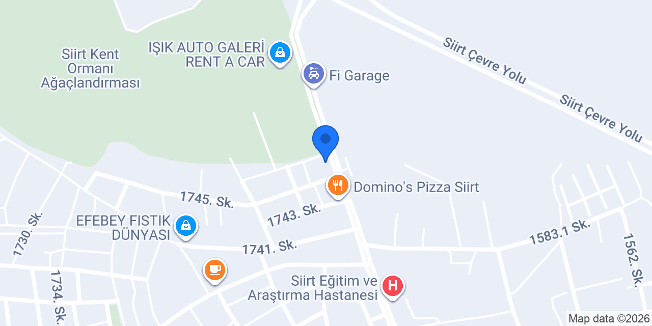 Siirt Gece Dönercisi konumu