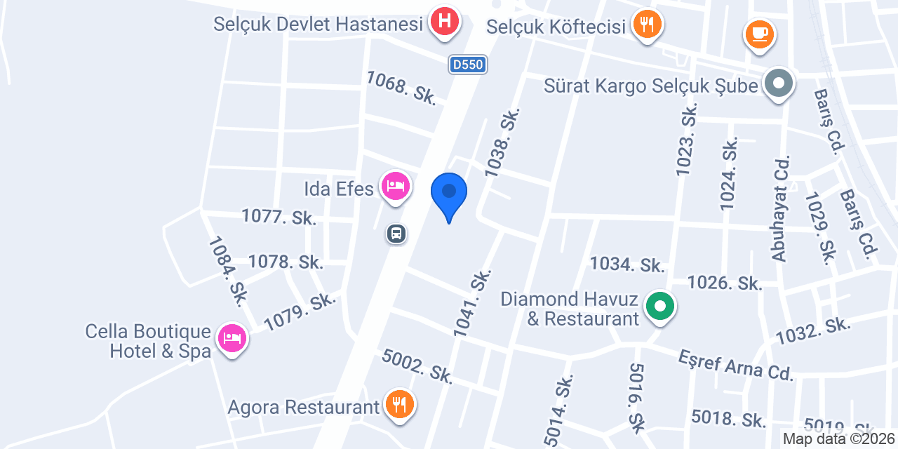 Selçuk Lisesi konumu