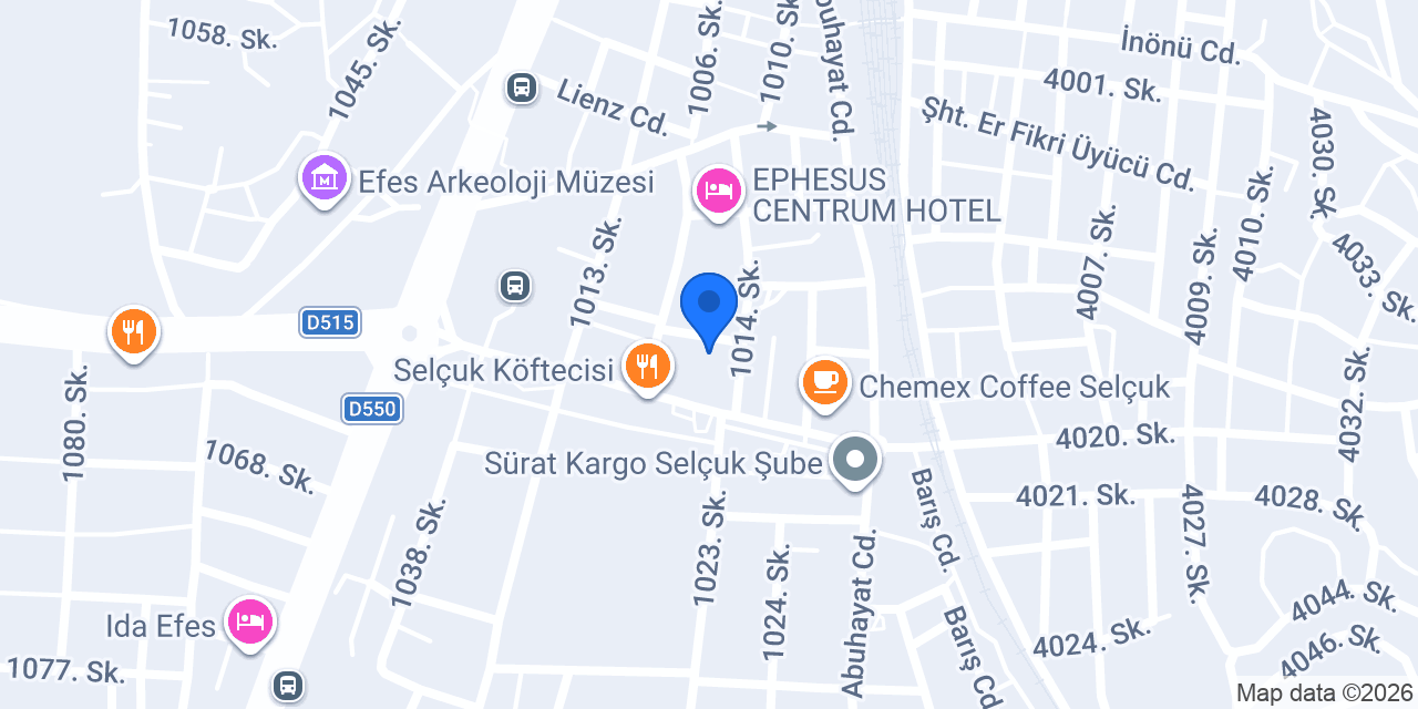 Selçuk Veteriner Kliniği konumu