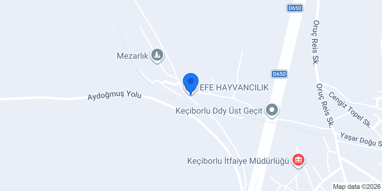 EFE HAYVANCILIK konumu