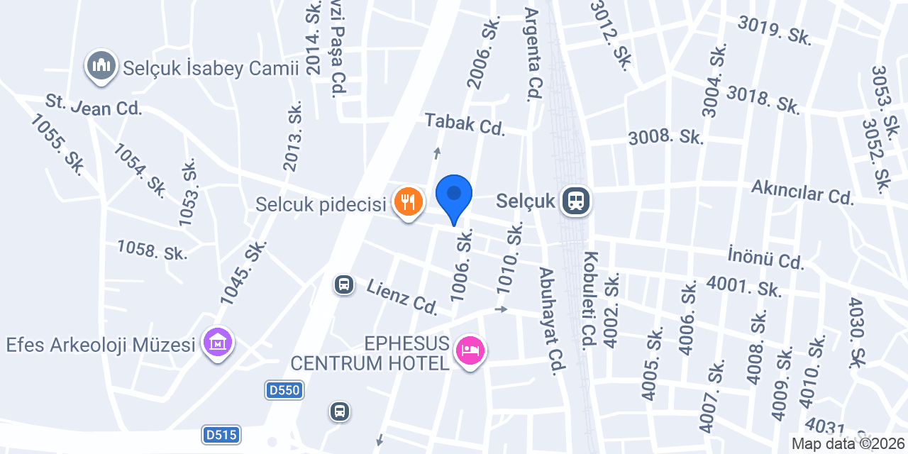 Selçuk Emlak konumu