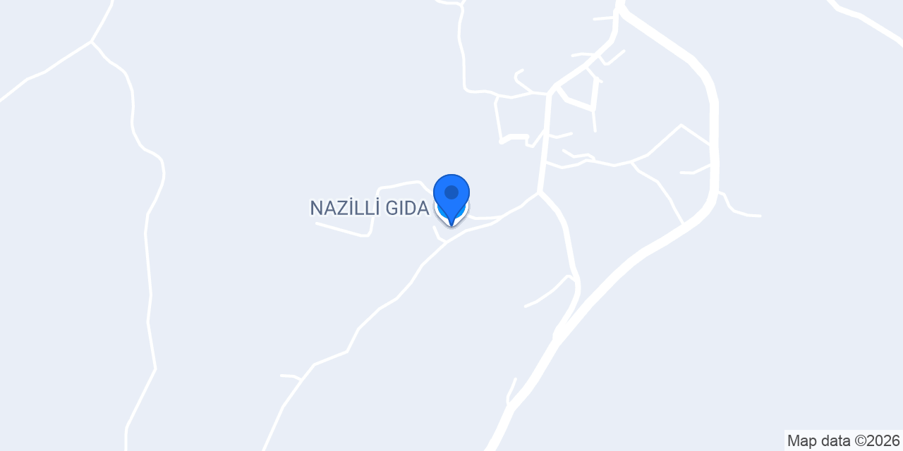 NAZİLLİ GIDA konumu