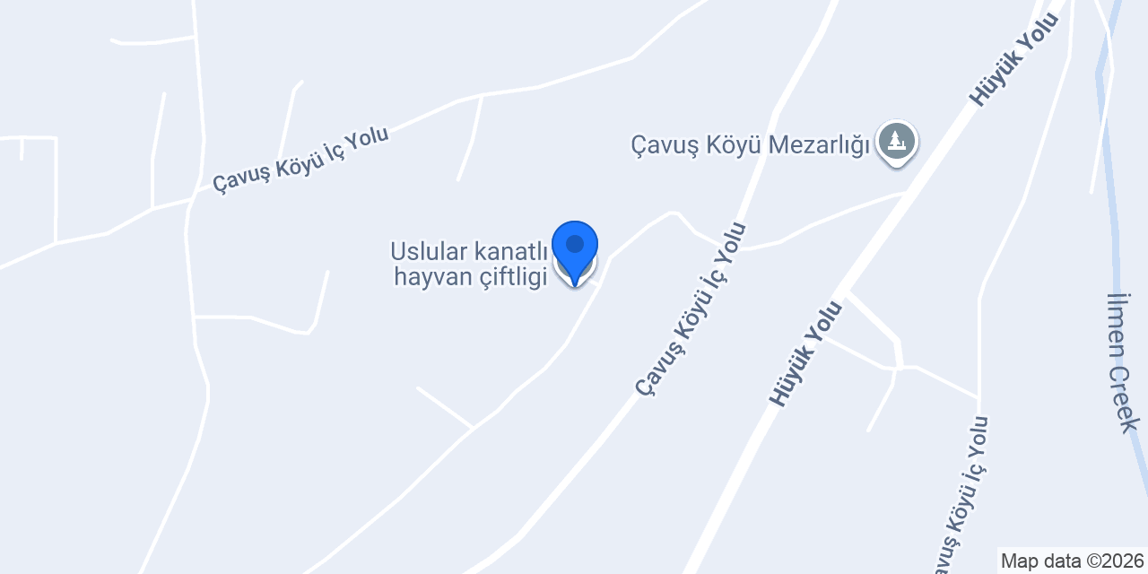 Uslular kanatlı hayvan çiftligi konumu