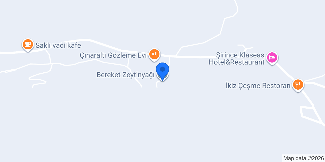 Bereket Zeytinyağı konumu