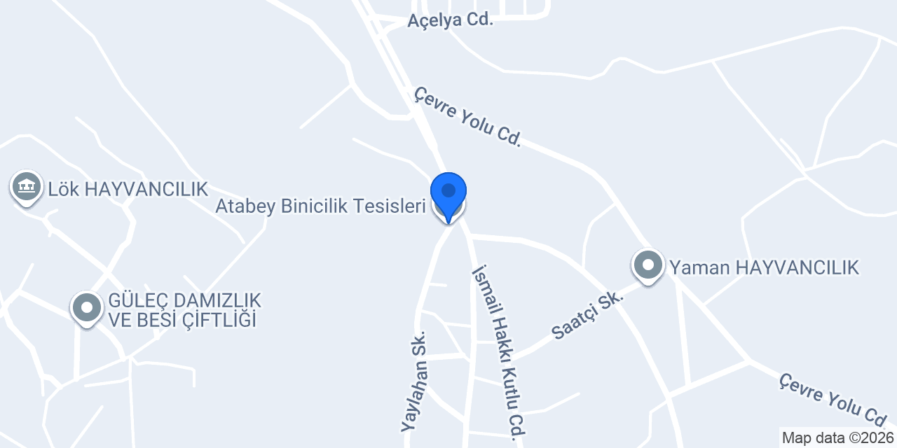 Atabey Binicilik Tesisleri konumu