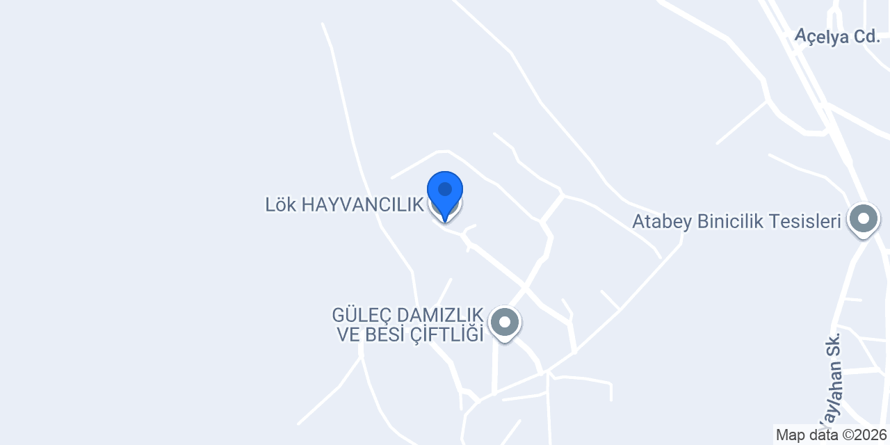 Lök HAYVANCILIK konumu