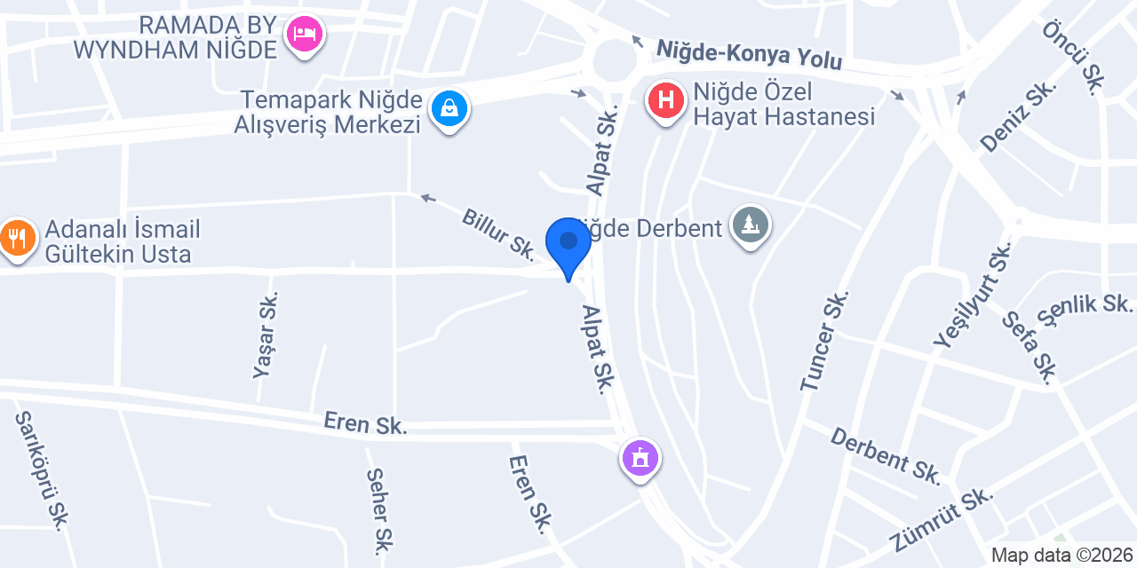 Learn English Niğde Şubesi konumu