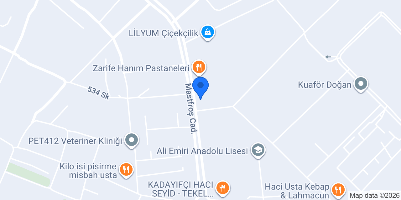 Salon ÇAYÖNÜ konumu