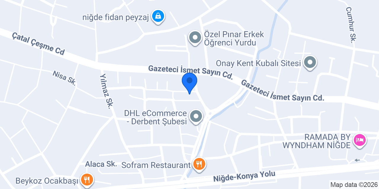 Neva Sanat Merkezi Niğde konumu